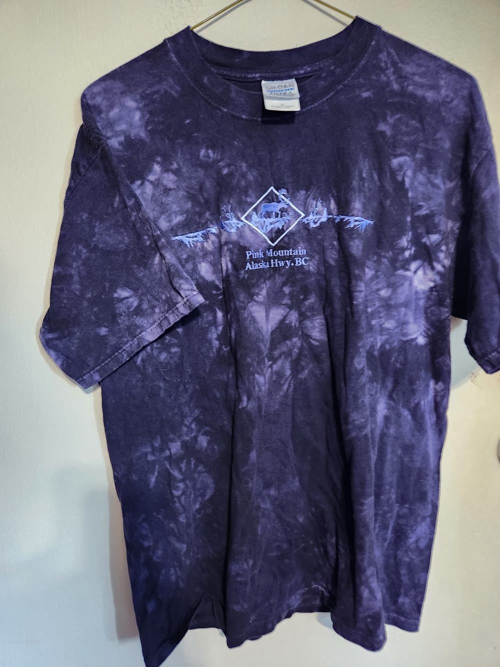 Gildan Purple Tie-Dye Pink Mountain BC Graphic Tee - Men VINTAGE